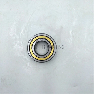 BQB Brand Bearing Cylindrical Roller Bearings Nj219em Nu219em N219e
