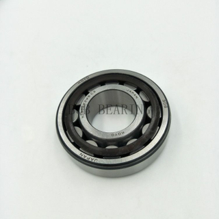 Famous Brand Bearing Cylindrical Roller Bearings Nj2310 