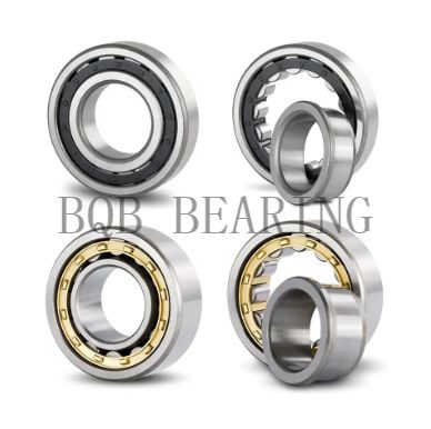 BQB Brand Bearing Cylindrical Roller Bearings nu1005 