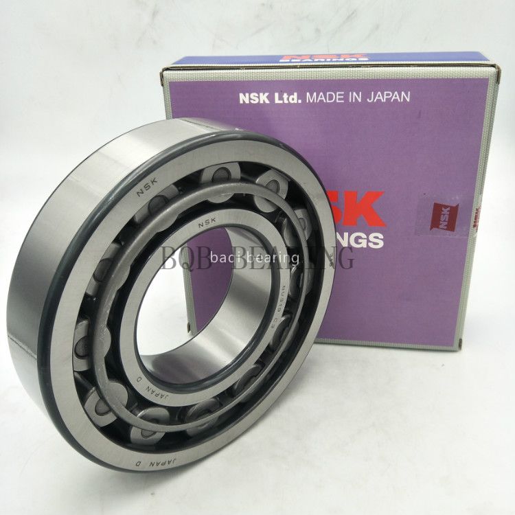 Famous Brand Bearing Cylindrical Roller Bearings Rau16013