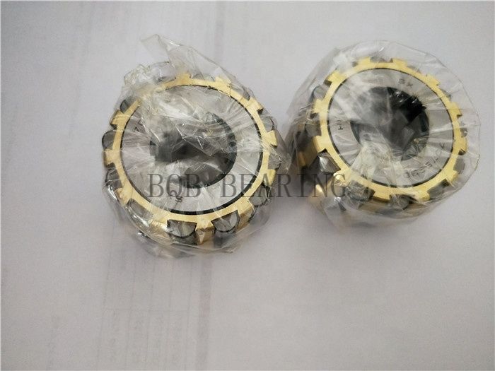 Famous Brand Bearing Cylindrical Roller Bearings nj204 NU204e 