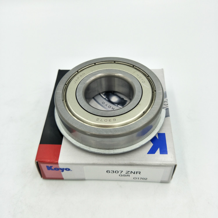 deep groove bal bearing (48)