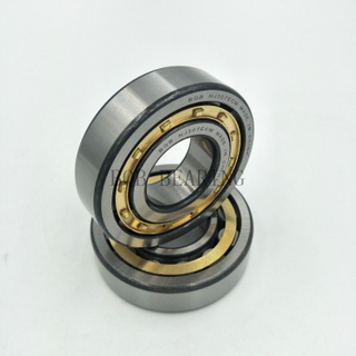Famous Brand Bearing Cylindrical Roller Bearings N206 Nup308 Treadmi