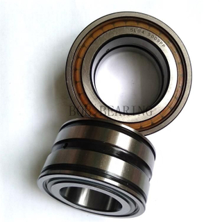 Famous Brand Bearing Cylindrical Roller Bearings rn205m n2010
