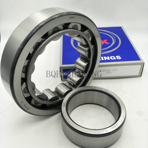 Famous Brand Bearing Cylindrical Roller Bearings Rau16013