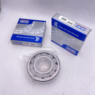 BQB Brand Bearing Cylindrical Roller Bearings Lnnu4924 