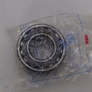 Famous Brand Bearing Radial Special Roller Bearing 22205cd